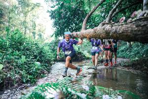 BIB: 
                            <button type="button" onclick="openModal(25443275)" class="btn btn-primary btn-sm float-right btn-popup" data-toggle="modal" data-target=".modal-high-quality">
                        <i class="fas fa-shopping-cart"></i> Add to Cart
                    </button>
                                            <button type="button" onclick="isThisMe(25443275, true)" class="btn btn-success btn-sm float-right btn-popup btn-isme hidden" data-toggle="tooltip" data-placement="bottom" title="นี่คือรูปของคุณใช่ไหม คลิกที่นี่เพื่อเอาเข้าอัลบั้ม">
                        <i class="fas fa-plus"></i> Add to album
                    </button>
                    <button type="button" onclick="isThisMe(25443275, false)" class="btn btn-warning btn-sm float-right btn-popup btn-isnotme hidden">
                        <i class="fas fa-ban"></i> Remove from album
                    </button>